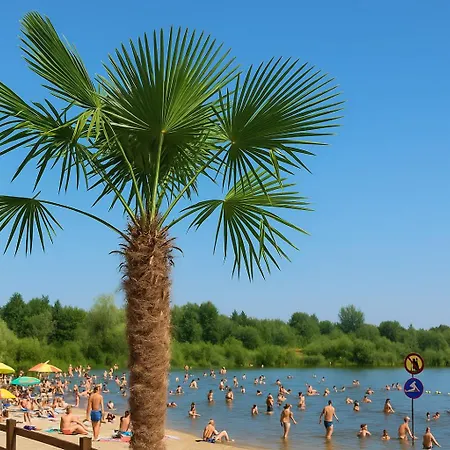 Przyjazna Przystan Zaciszna 13- Drabinianka Miejska Plaza Rzeszów