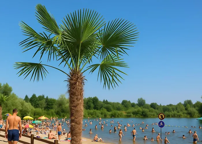 Przyjazna Przystan Zaciszna 13- Drabinianka Miejska Plaza Rzeszów